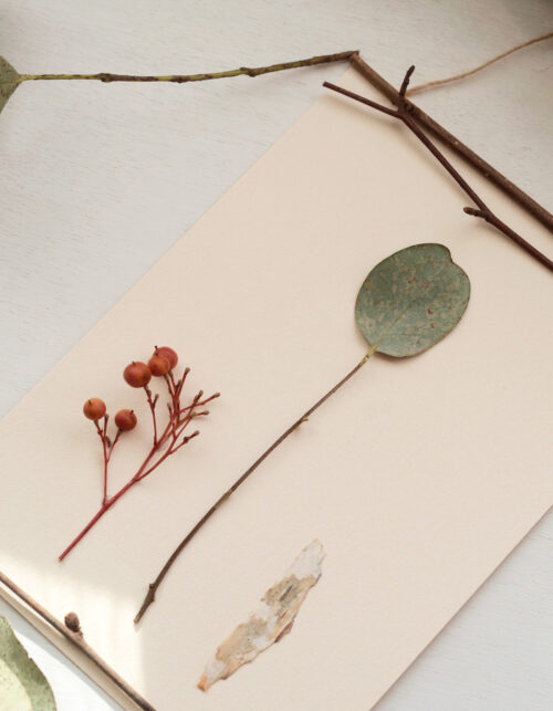 Herbier des bois "Eucalyptus" - décoration sauvage