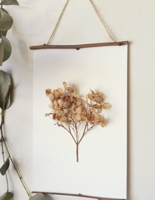 23janvier • Herbier des bois "Hortensia" - décoration sauvage
