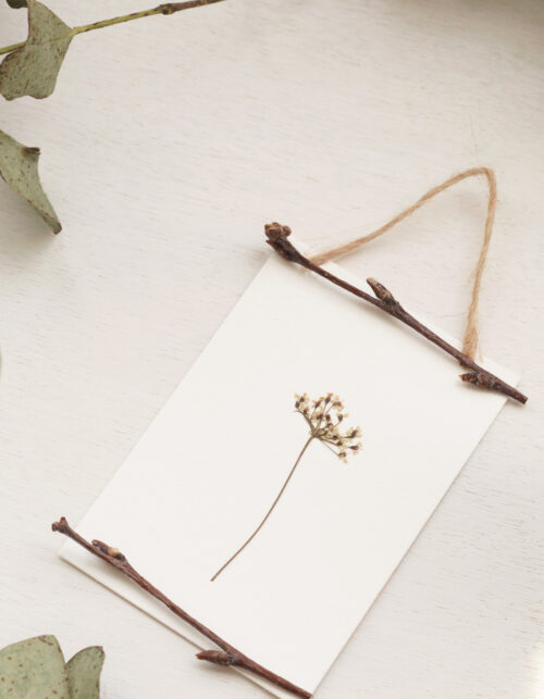Herbier des bois "Cumin" - encadrement sauvage