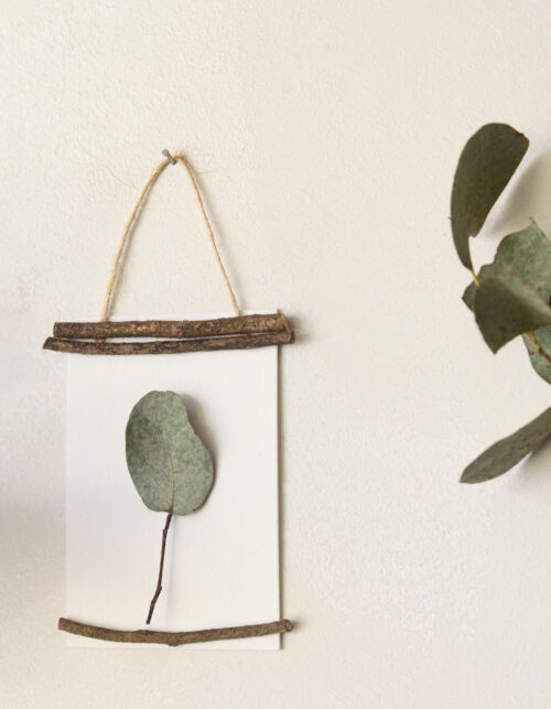 Herbier des bois "Eucalyptus" - encadrement sauvage