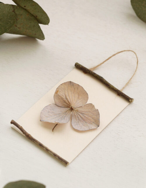 Herbier des bois "Hortensia" - encadrement sauvage