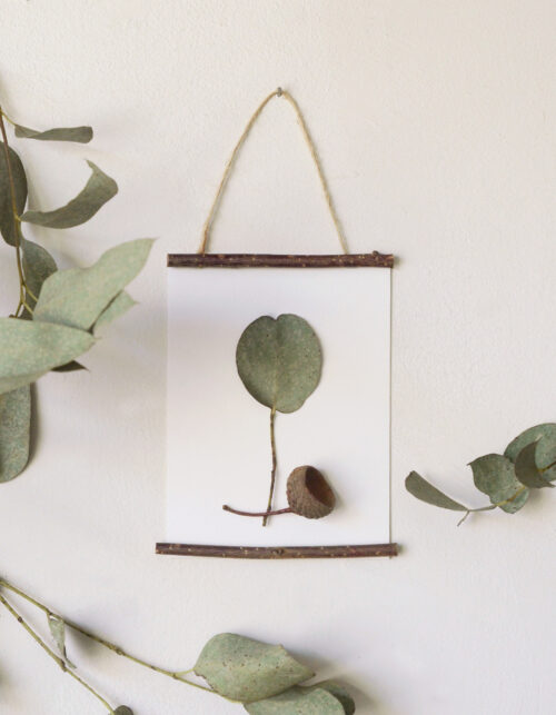 Herbier des bois "Eucalyptus" - encadrement sauvage