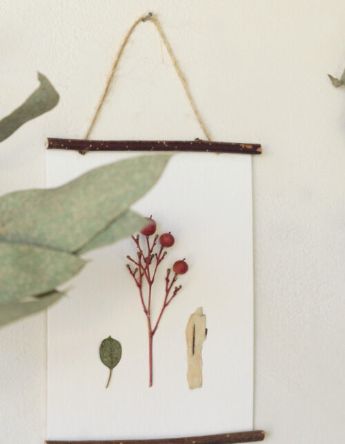 23janvier • Herbier encadré "Bambou sacré" - décoration sauvage