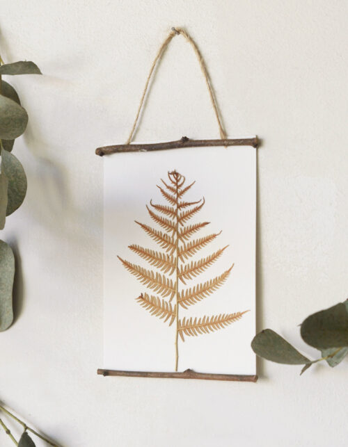 23janvier herbier
