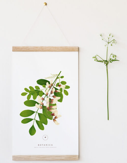 Affiche Fleurs sauvages - décoration nature • 23janvier