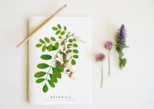 Carnet Fleurs sauvages - papeterie artisanale • 23janvier
