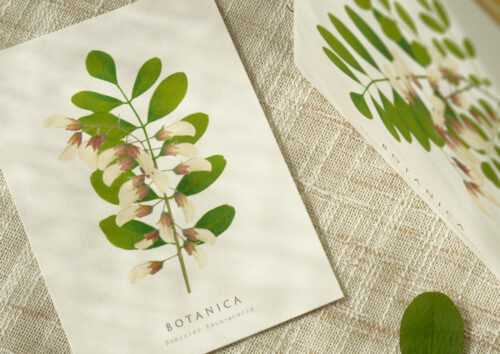 Carte Acacia sauvage - papeterie artisanale • 23janvier