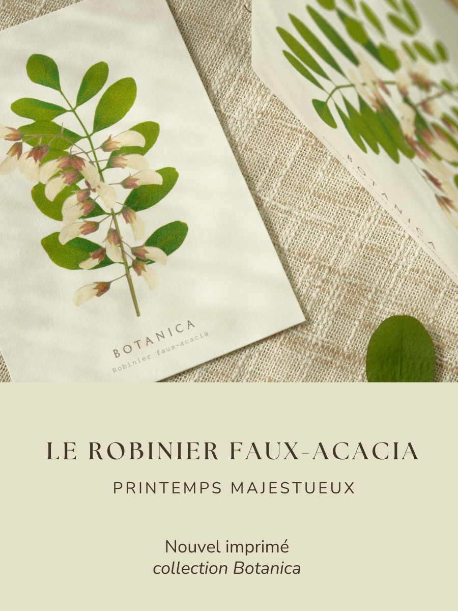 flex_mobile_acacia_23janvier (900 x 1200 px)