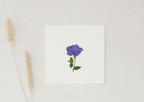 Petite carte Fleurie • papeterie artisanale • 23janvier