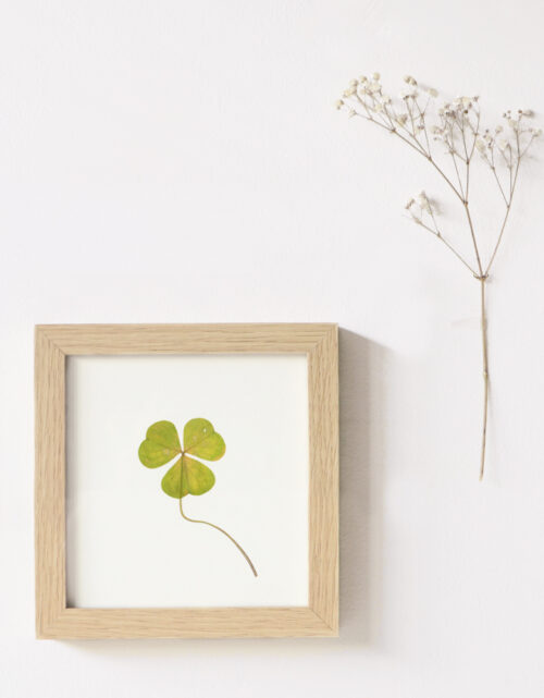 Herbier sauvage - petite carte végétale • 23janvier