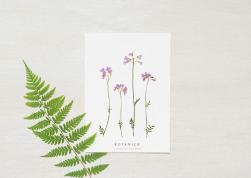 Carte Fleurs sauvages - papeterie artisanale • 23janvier
