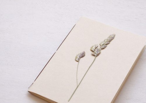 Carnet herbier A6 • Graminée pailletée