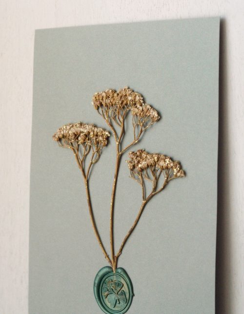 Herbier cacheté Achillée • affichette A5