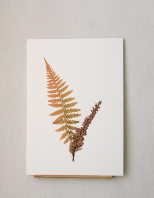 Herbier Fougère & Bruyère • affichette A5