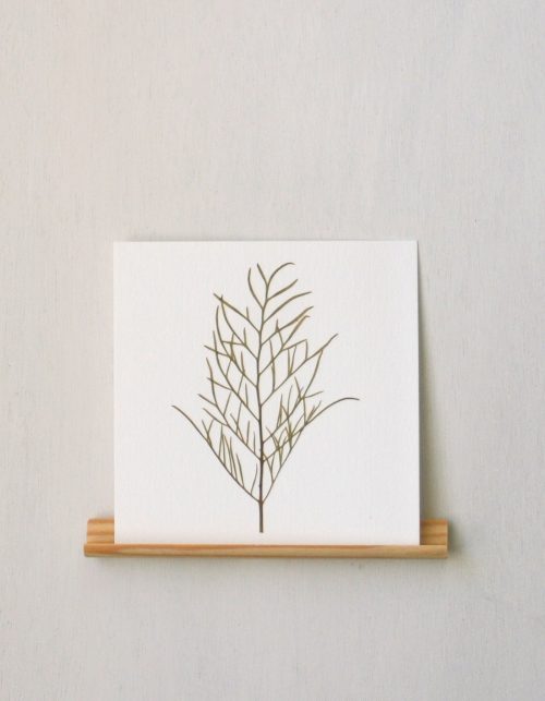 Herbier Cosmos (feuille) • carte 10cm x 10cm