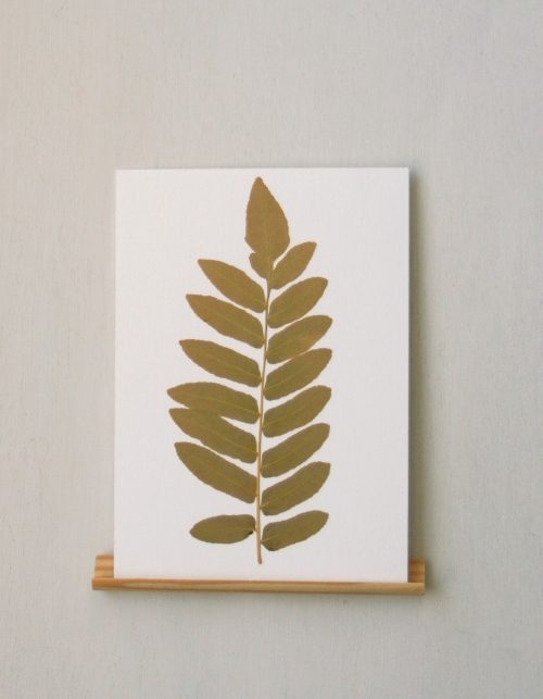 Herbier Fougère royale (feuille) • carte A6