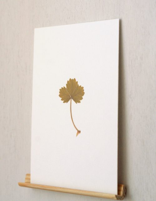Herbier Fraisier (feuille) • carte A6