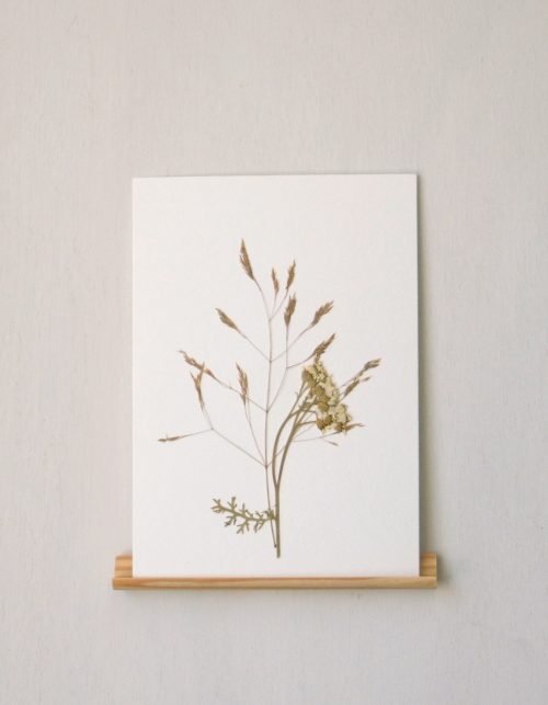 Herbier Graminée & Achillée • carte A6