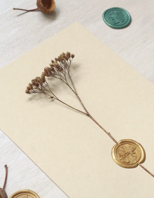 Herbier cacheté Petit rameau d'hiver • affichette A5