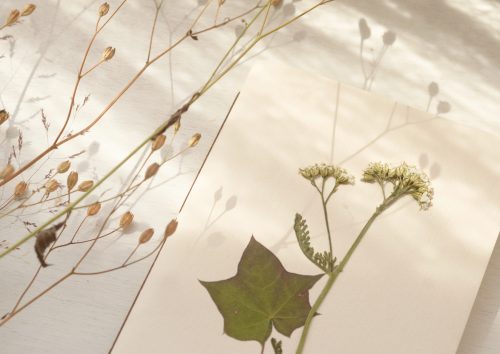 Carnet herbier fleurs • papeterie artisanale • 23janvier