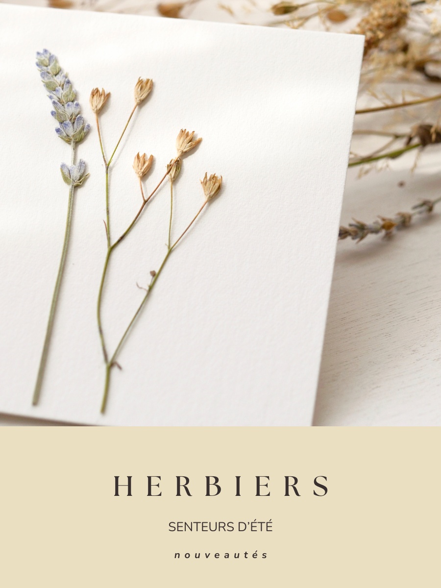 flex_herbiers_ete_2026_mobile_23janvier (900 x 1200 px)